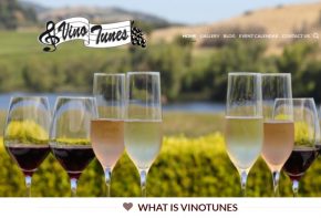 Vino Tunes ~ Music Adventures Wine & Fun!